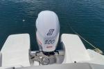 Karnic 2251 - Day Cruiser