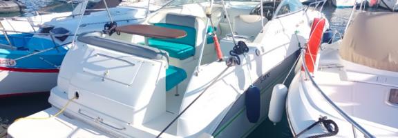 Sea ray 260 Sundancer 