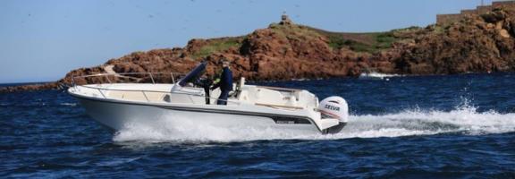 Ocqueteau Abaco 800 open CC  avec 225 v Selva